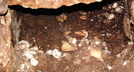 Otopark kazısında insan kemikleri ortaya çıktı
