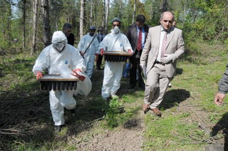 Çam kese böceğiyle mücadele için 5 bin terminatör böcek ormana bırakıldı