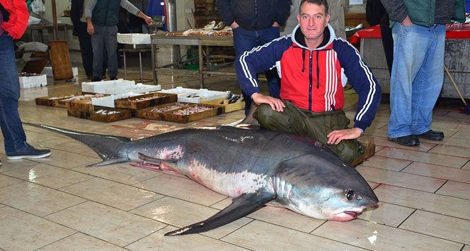 Üç metrelik ‘canavar’ İzmir Körfezi'nde yakalandı