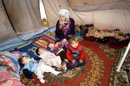 Suriyeli üçüzler süt ve mama bekliyor