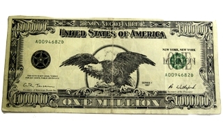 Muğla’da 1 milyon dolarlık banknot ele geçirildi