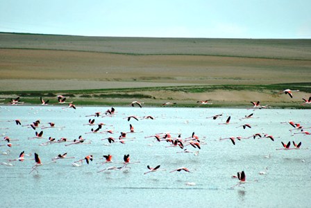 Kuruduğu için kuşların terk ettiği Düden Gölü yeniden eski ihtişamına kavuşuyor