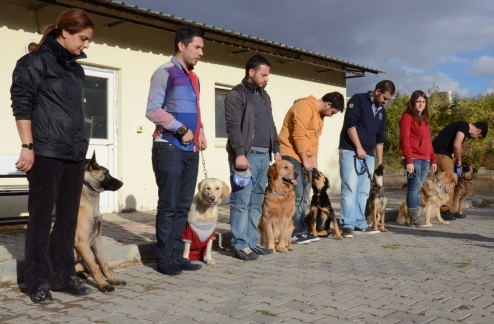 Kırıkkale Üniversitesi’nde köpek eğitimi kursu