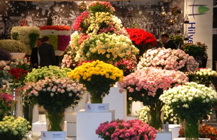 Hollanda'da Uluslararası Çiçekçilik Fuarı başladı