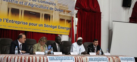 TUSKON, Anadolu kaplanları ile Senegal arslanlarını bir araya getirdi