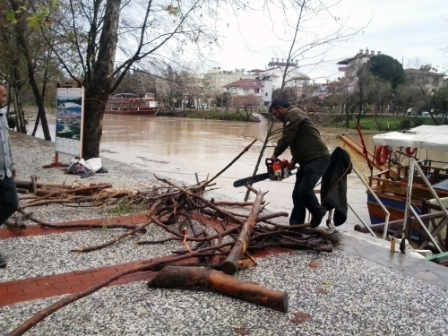 Kışlık odun ihtiyaçlarını Manavgat Irmağı'ndan çıkarıyorlar