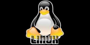 Linux'ta video montajı mümkün