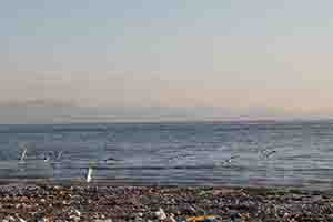img_8280.jpg