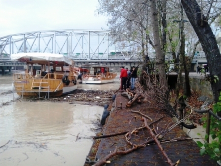 Kışlık odun ihtiyaçlarını Manavgat Irmağı'ndan çıkarıyorlar1