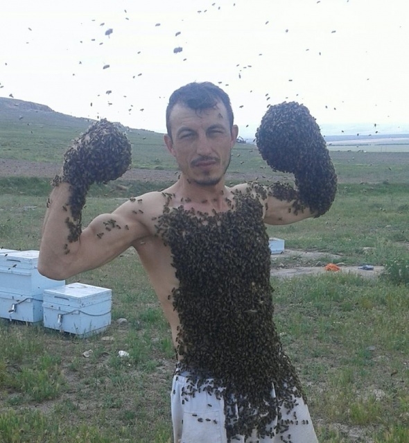 Bir kovan arıyı vücudunda toplayabiliyor... 3