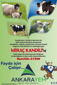 3. Sayfa