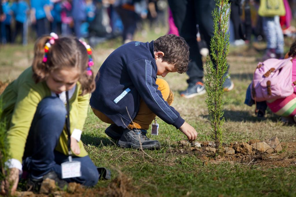 Yavru TEMA’dan doğa eğitim programı