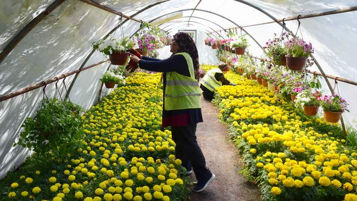 Cadde ve sokaklar çiçek açıyor