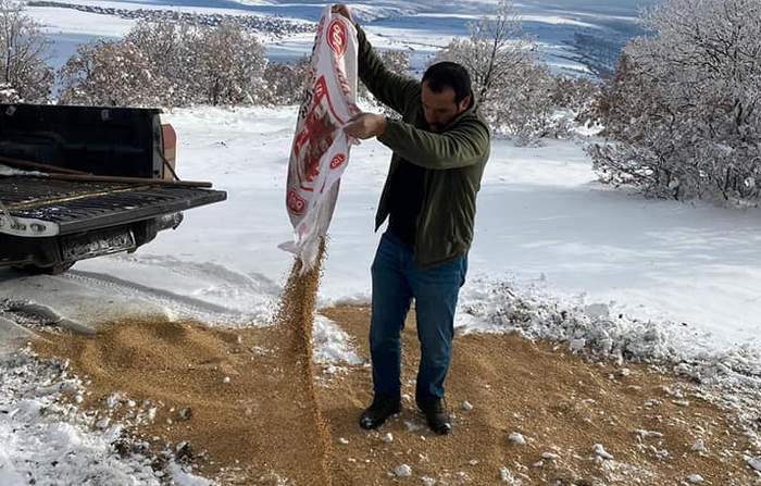 Yaban hayatına yem desteği