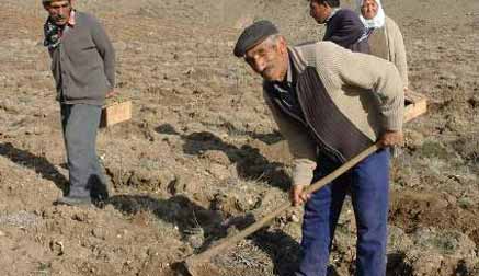 Çiftçi borçlarında idari takip süresi uzatıldı
