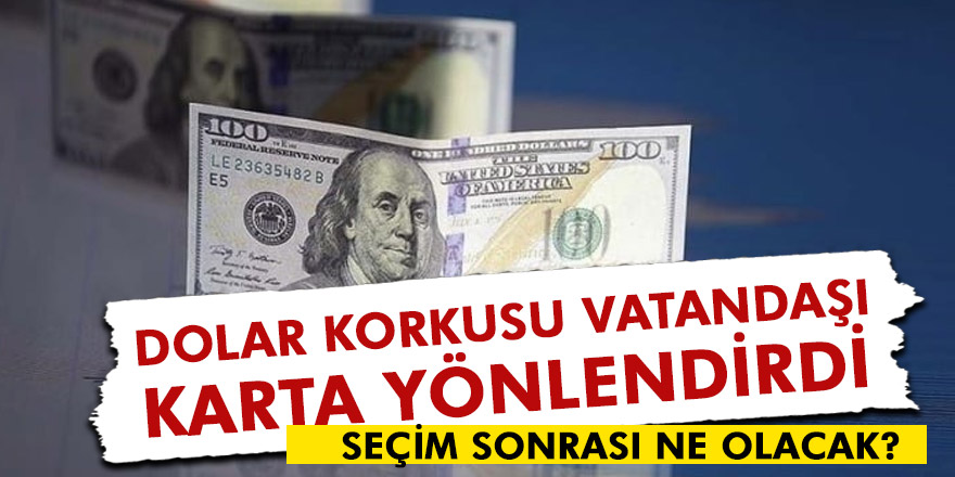 DOLAR KORKUSU VATANDAŞI KARTA YÖNLENDİRDİ