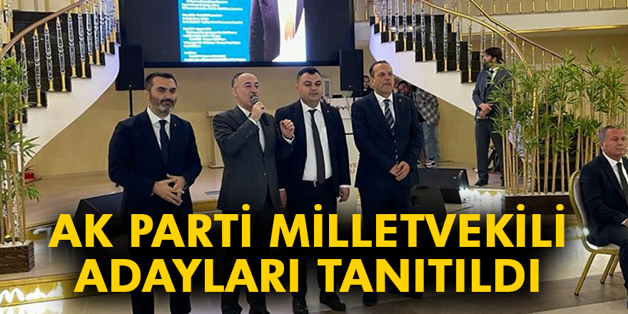 Kırıkkale'de AK Parti milletvekili adayları tanıtıldı