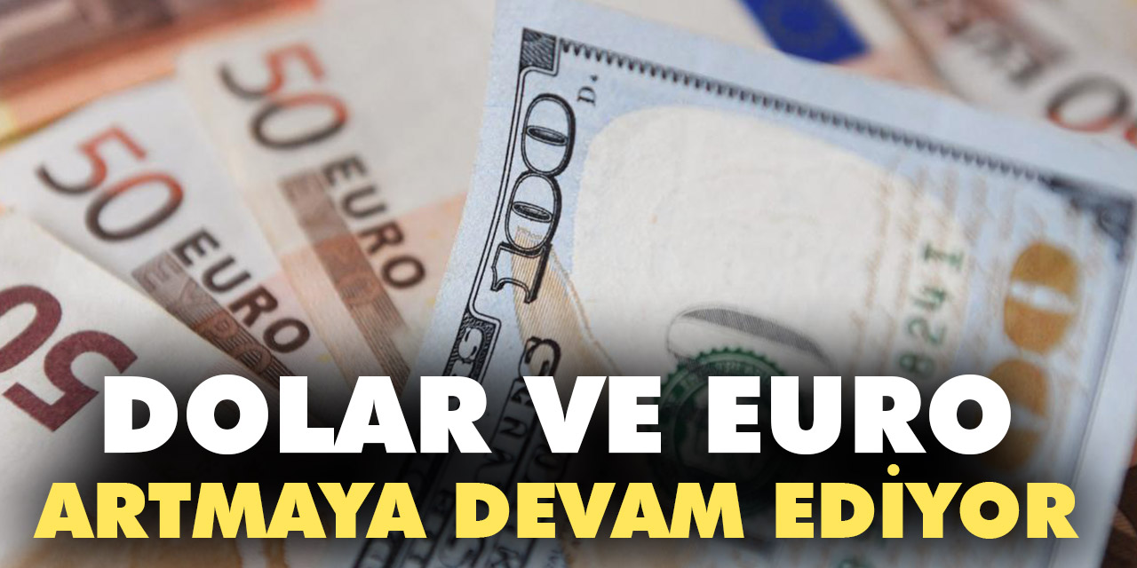 Dolar ve Euro artmaya devam ediyor