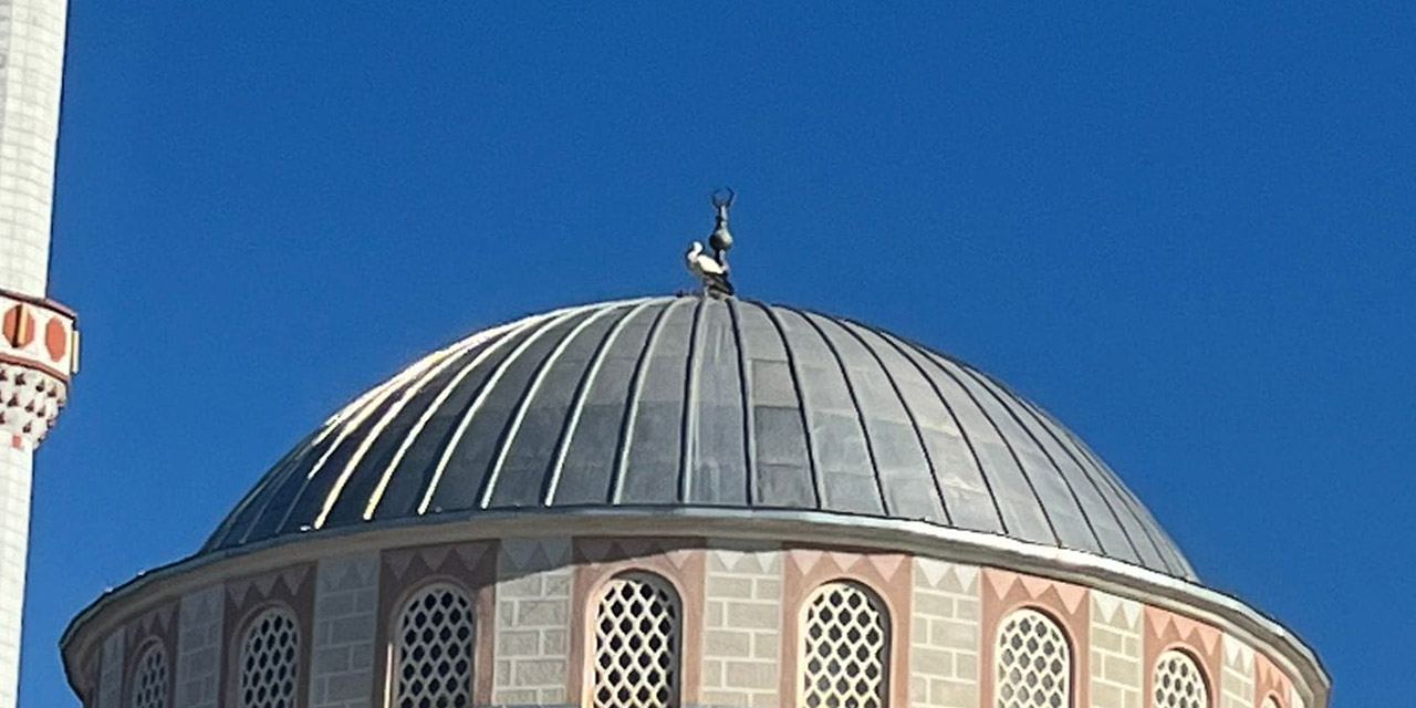 Baharın Müjdecisi Bahşılı’da
