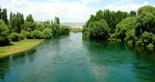 Kızılırmak yeşile büründü