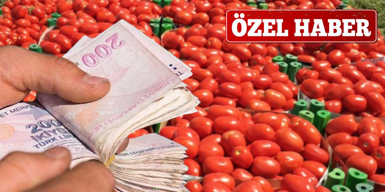 Kırıkkale'de salçalık domates fiyatı belli oldu
