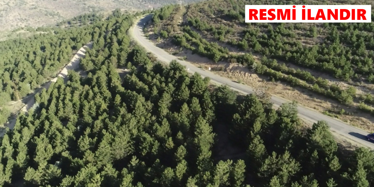 Kırıkkale Orman İşletme Müdürlüğü malzeme alacak
