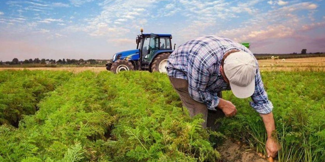 Tarım sektöründe önemli artış kaydedildi:  %45,11'lik Büyüme