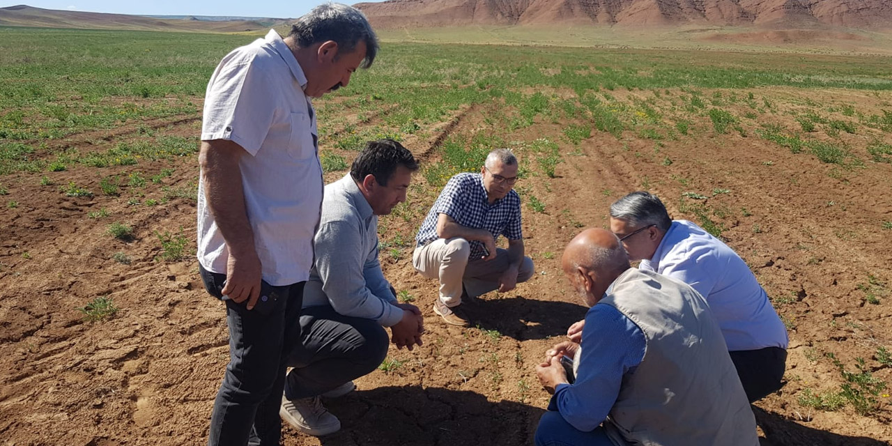 Kırıkkale Büyükyağlı Köyü'nde mera ıslah projesi uygulandı