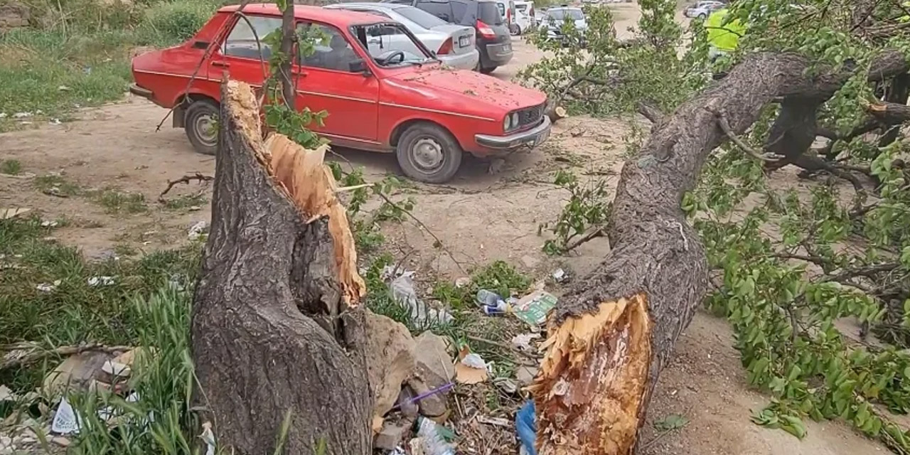 Kırıkkale'de şiddetli fırtına etkili oldu! Ağaç aracın üzerine düştü
