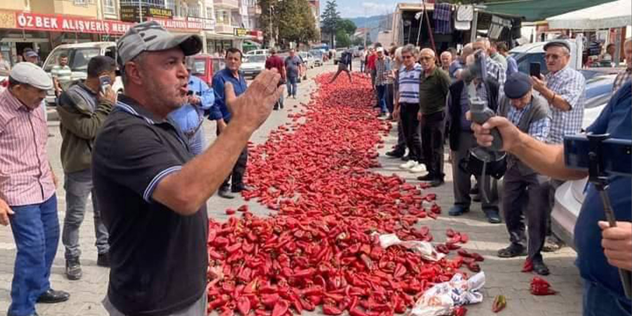 Çiftçi biberleri yola dökerek isyan etti