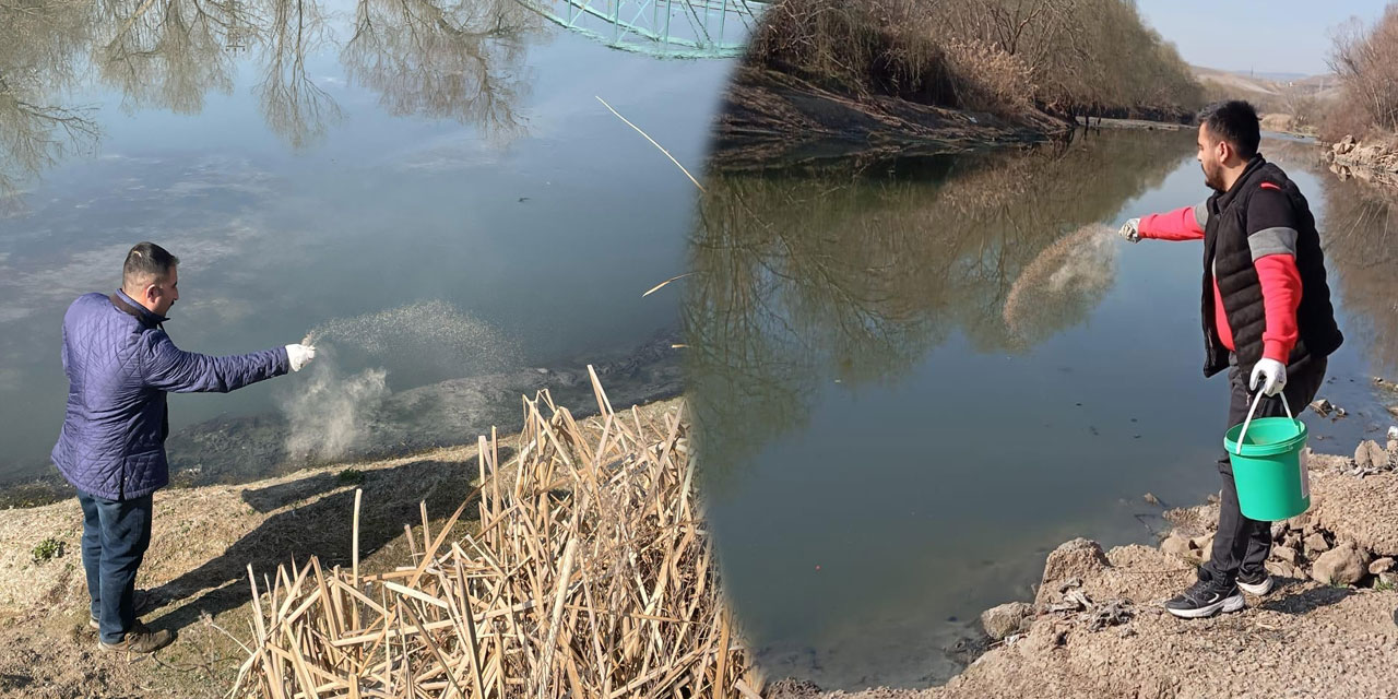 Yahşihan Belediyesi, haşere mücadelesine hız verdi!