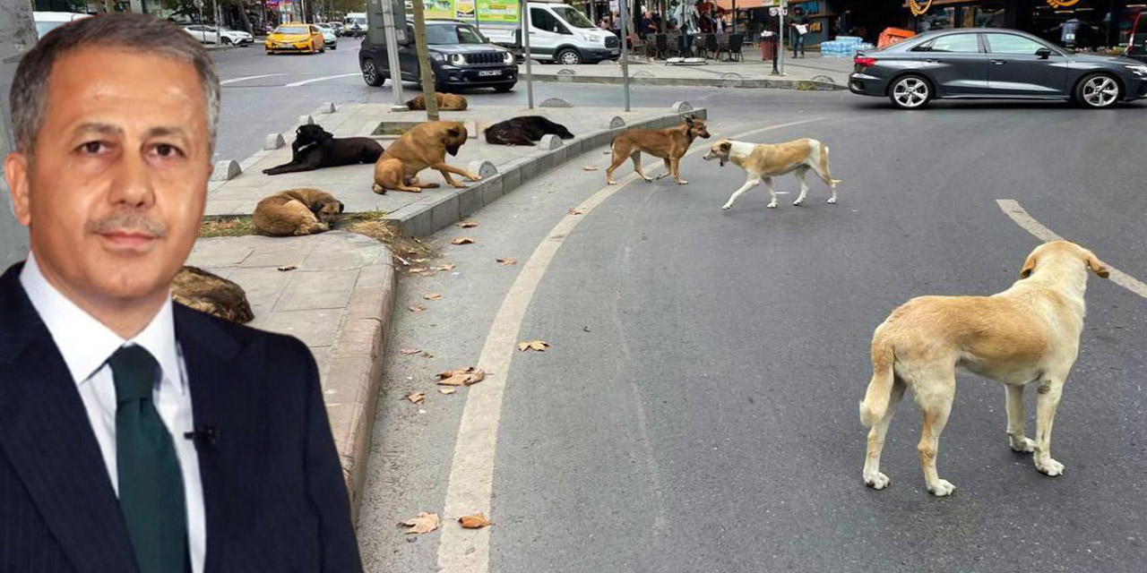 İçişleri Bakanlığı Kırıkkale’ye müfettiş görevlendiriyor