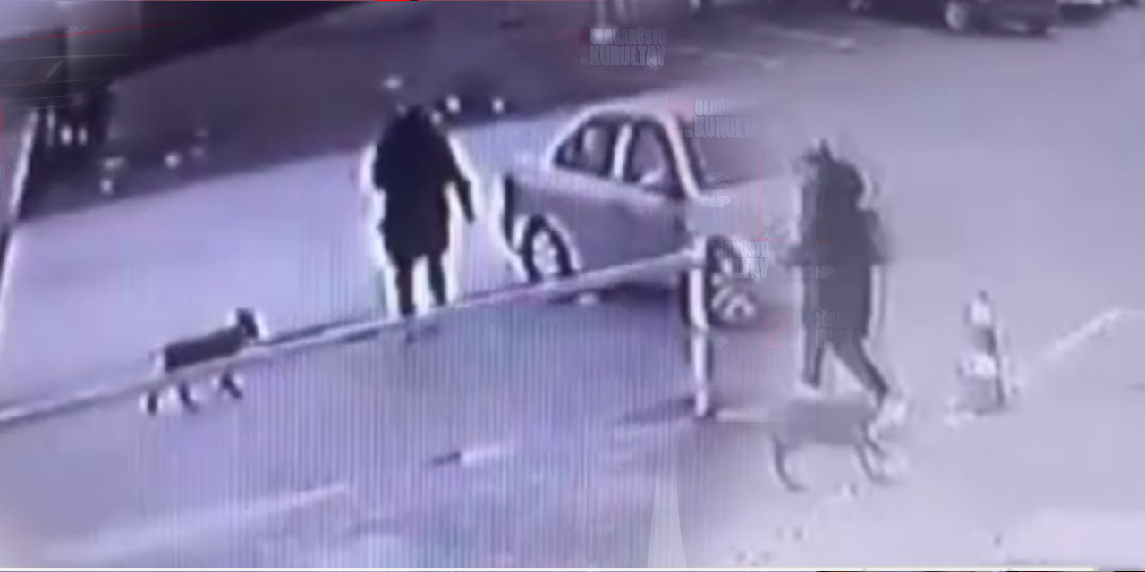 Köpeklerin saldırısına uğrayan kadın yaralandı