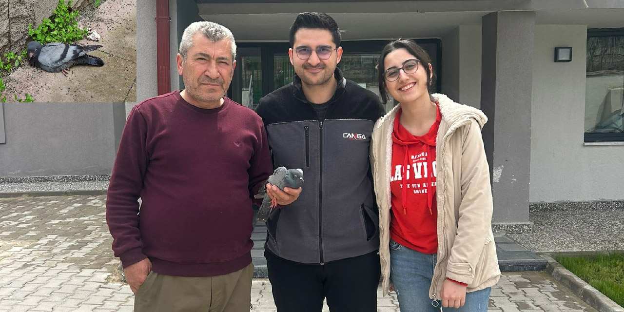 Kırıkkale'de yaralı güvercine vatandaş sahip çıktı