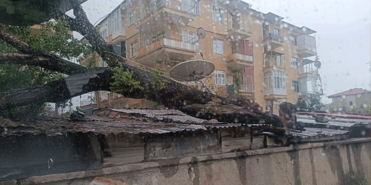 Kırıkkale’de rüzgar dehşeti: Devrilen ağaç tandır çatısını yıktı!