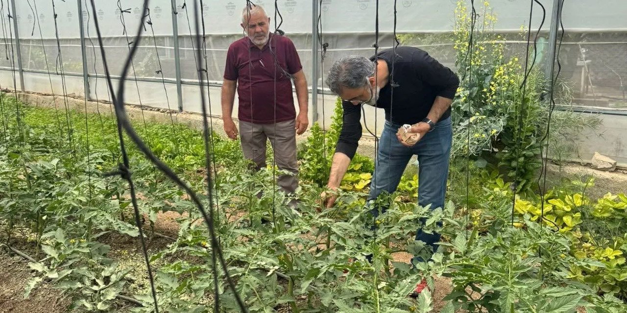 Kırıkkale seralarında doğal savaş başladı!