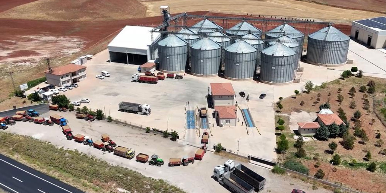 Kırıkkale’de buğday hasadı başladı: Çiftçiler sam yelinden kalkındı