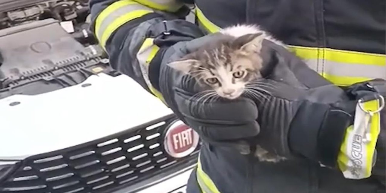 Kırıkkale'de kedi kurtarma operasyonu