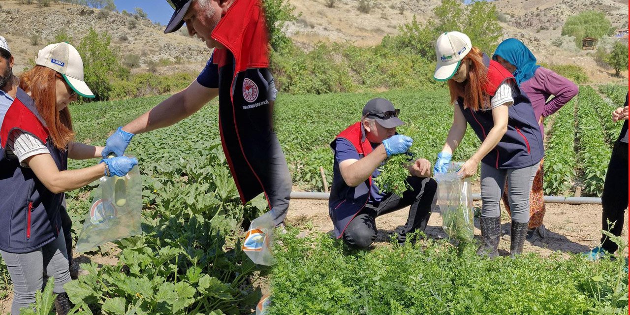 Kırıkkale’de organik ürünlere güven damgası