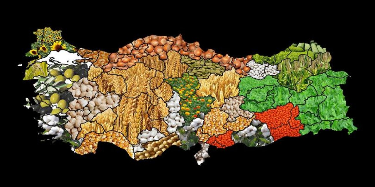 Yerli üreticiler desteklenecek, İthalat sınırlanacak