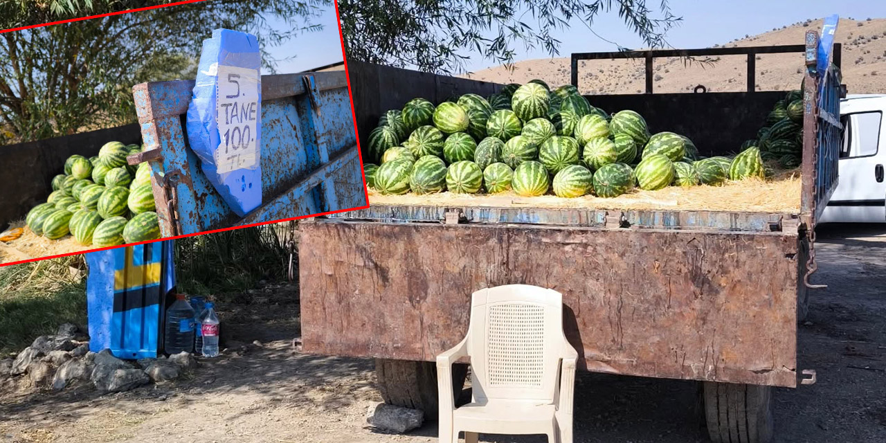 Kırıkkale’de tarladan halka karpuz satışı yoğun ilgi görüyor