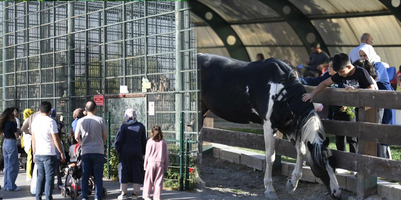 Ücretsiz olan hayvanat bahçesine ziyaretçi akını