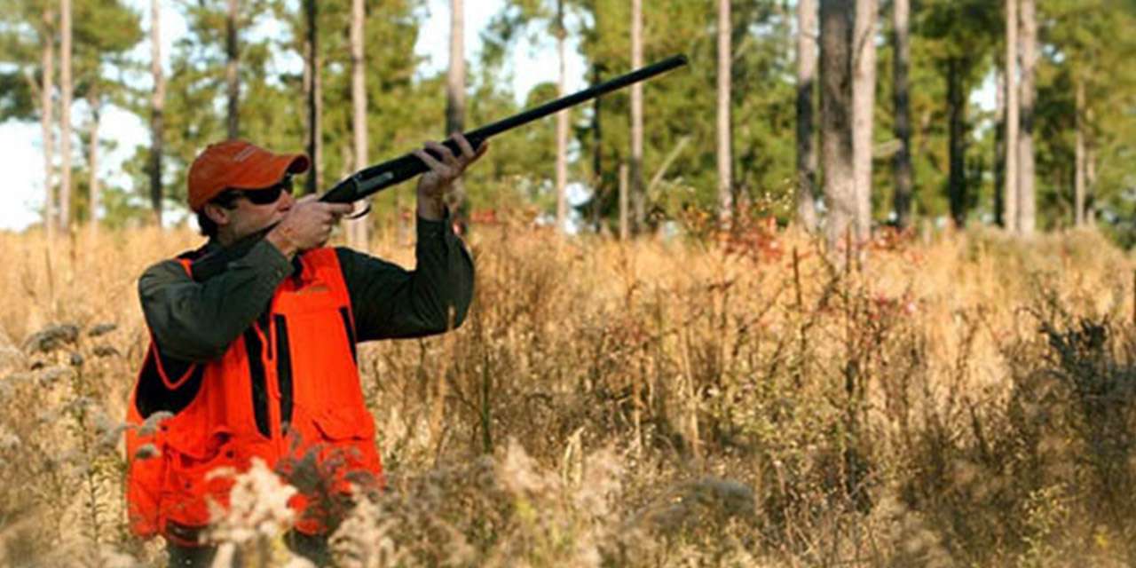 Belge almak isteyen avcı adayları için fırsat başladı!