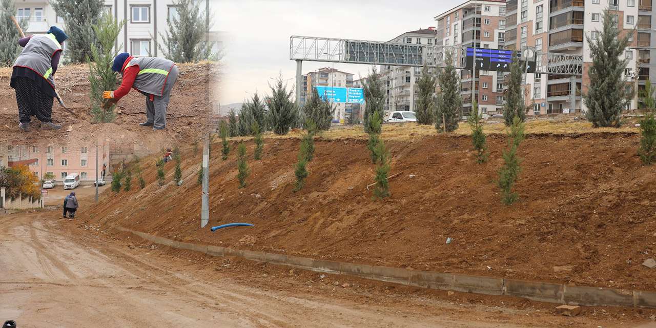 Kırıkkale daha yeşil bir geleceğe yürüyor