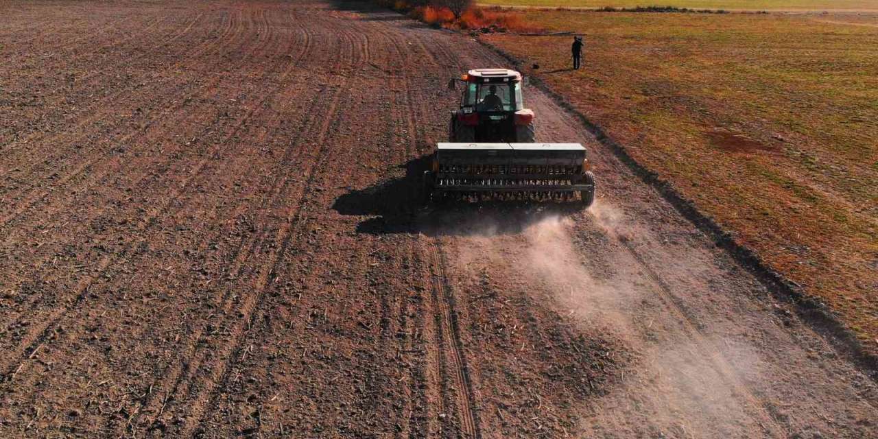 Hububat ambarı Konya Ovasında yağışlar yetersiz