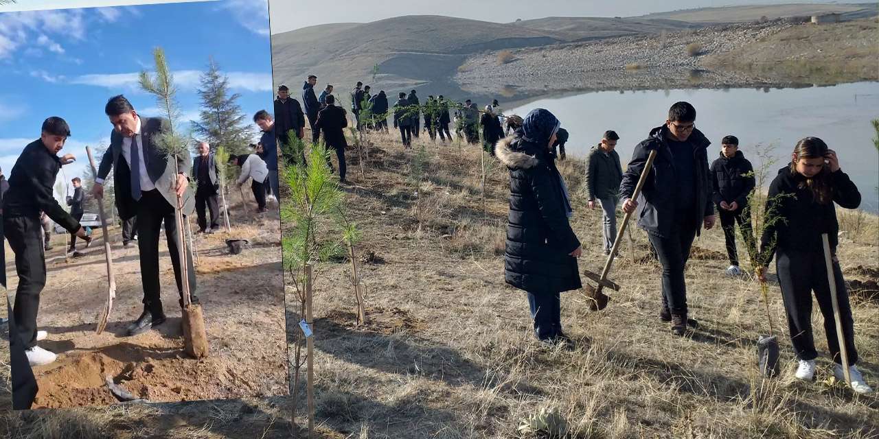 Hasandede Gölet'nde 300 çam fidanı toprakla buluştu