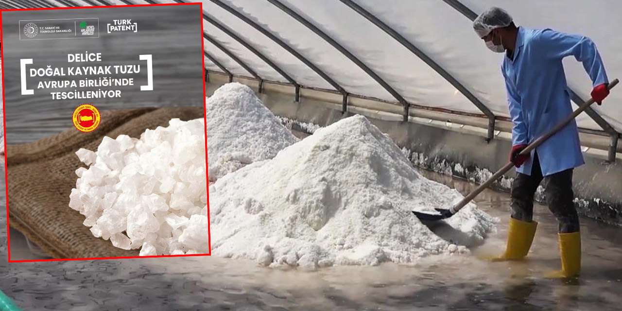 Delice'de çıkartılıyor, faydaları saymakla bitmiyor