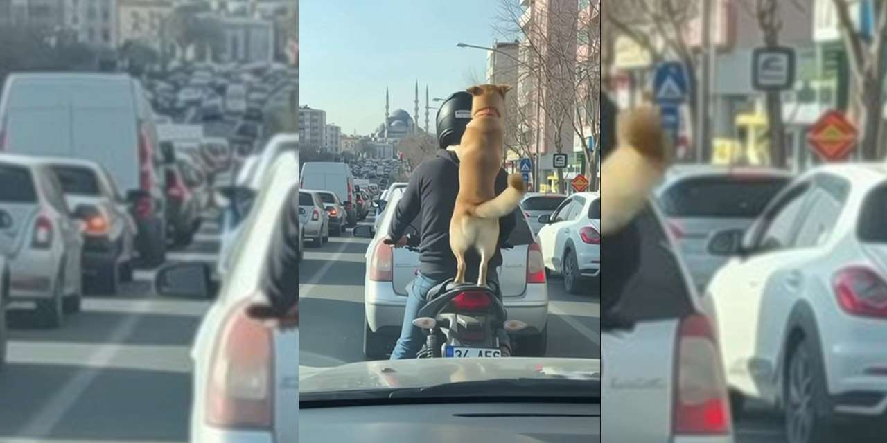 Kırıkkale’de dostluğun en "hareketli" hali!