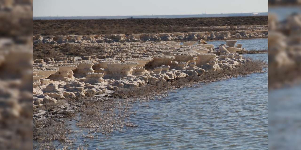 Flamingoların yuvası yeniden suyla buluştu