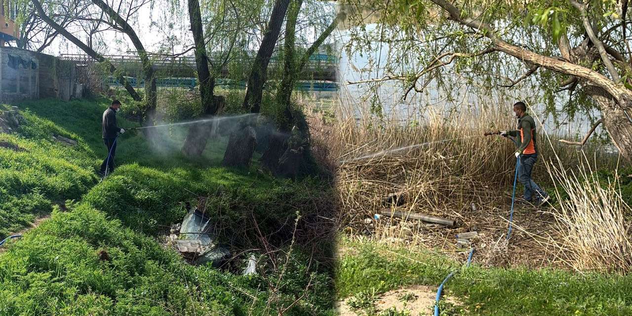 Yahşihan yaz kabusuna dur dedi: İlaçlama mesaisi aralıksız sürüyor!